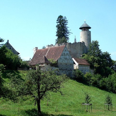 Schloss Birseck, 2019. Vergrösserte Ansicht