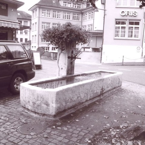 Dorfbrunnen Hauptstrasse. Vergrösserte Ansicht