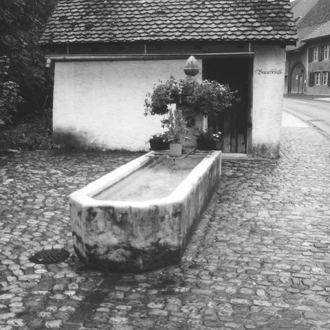 1. Brunnen im Unterdorf. Vergrösserte Ansicht