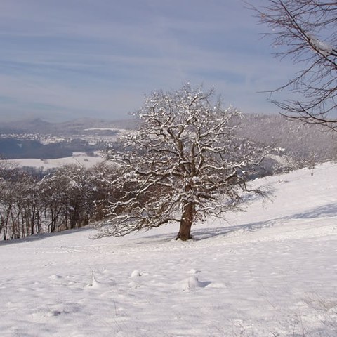 2007 winter 01 g. Vergrösserte Ansicht