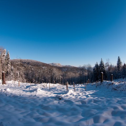 20101226 Panorama 0012. Vergrösserte Ansicht